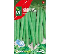 Montano Beans Seeds per gram - Fleshy pods - 50 g - Seeds per gram: 6