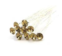 MontCherry Stud Crystal Diamante Wedding Bridal Prom Hair Pins 10 Pins by Trendz (Champagne)