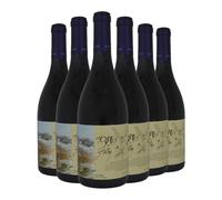 Montes Folly Syrah 15% ABV 6 x 75cl