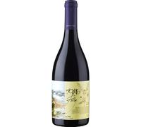 Montes Folly Syrah Apalta Vineyard 2019 Wine 75 cl