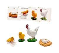 Montessori Life Cycle Animal Figures with Flash Cards, Lifelike Animal Growth Cycle Biological Model Set (Rooster)