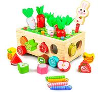 Montessori Toys for Toddler ,Wooden Educational Toys for Boys Girls , Shape Color Sorting Matching Educational Wooden Toys for Kids age 3 4 Year Old,Wood Preschool Learning Fine Motor Skills Game