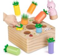 Montessori Wooden Toddler Toys for 1 2 3 Year Old: Sensory Baby Toy 1st Birthday Gifts for Boys Girls Educational Learning Presents for 1-3 Year Olds Kids Babies 12+ Months Fine Motor Skills Games