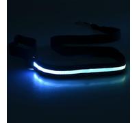 Montesy 4Pcs LED Dog Leash Rechargeable Waterproof Nylon with Padded Handle for Night Walking Glow in Dark for Pet