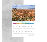 Monthly Calendar | Wall Annual Calendar 2026 - Hangable Agenda Creative Schedule Organizer for Planning Travel Business School Workplace Meeting Home Appointment Family Homeschool
