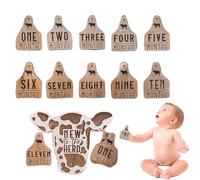 Monthly Milestone for Cows - Milestone Cards for Cows | Wooden Milestone Marking Signs for Highland Cattle, Pack of 13 for Calves, New in The