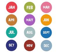Monthly Round Fridge Magnets, Set of 12, Multicolour, All Months Jan-Dec, Calendar Organisation (50mm)