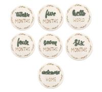 Monthly Signs, Month Marker Discs, 7 Pieces Set, Versatile Photo Prop Lightweight Compact Reusable Growth Tracking, Photo Props for Milestones Birthday, Green, Red, Pink, 3.94inches