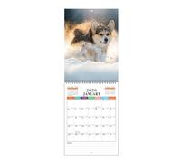 Monthly Wall Calendar - Monthly Wall Calendar With Scenes Illustrations, Cute Gag Planner Paper For Kids Teachers Apartment Bedroom House Classroom School College Family Dorm Kitchen