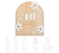 Months Baby Milestone, Wooden Signs Natural Wood Discs, 1-12 Month Markers for Newborn Photography & Nursery Decor