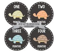 Months In Motion Gender Neutral Baby Month Stickers - Monthly Milestone Sticker for Boy or Girl - Onesie Month Sticker - Shower Gift - Newborn Keepsakes - Unisex - Turtles