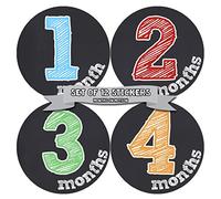 Months in Motion Monthly Baby Stickers Baby Boy or Baby Girl Milestone Sticker (1134)