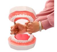MONVKAKA Standard Teeth Model, 6 Times Enlarge Dental Teeth Model with Detachable Tongue Brushing for Kids and Dentist Oral Care Teaching Model