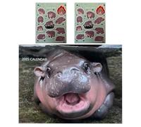 Moo-Deng Calendar 2025 | 11x11in Funny Baby Hippo FIip Desktop Calendar With 2 Hippo Stickers | 12 Month Hippopotamus Wall Calendar | Family Planner & Daily Organizer Calendar For Home Decor For Fans