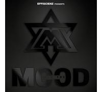 Mood - Into the Mood