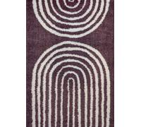 Moodi Shaggy Purple Velvetine Rug - 120X170 cm