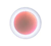 MoodMoon Round 60 Wall Lamp White