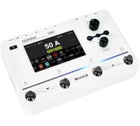 MOOER GS1000