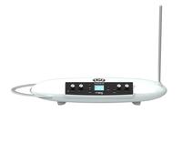 MOOG Etherwave Theremini