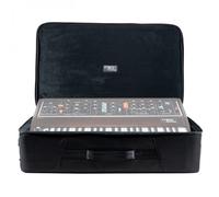 Moog Minimoog Model D Soft Case