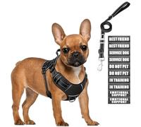 MOOGROU Tactical Dog Harness And Leash For Small Dogs, Anti-Pull Heavy Duty Vest And 10 Patches With Safety Belt For Dogs, Reflective Adjustable Pet Harness For Training, C
