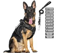 MOOGROU Tactical Harness and Leash for Large Dogs, Heavy Duty No Pull Service Dog Vest and 10 Patches with Safety Belt for Dogs, Adjustable Reflective Pet Harness