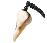 mookaitedecor Petrified Wood Crystal Raven Skull Pendant Necklace for Men, Women & Unisex, Semi Precious Stone Crow Head Skull Necklace, Norse Viking Reiki Chakra Healing Crystal Jewellery Gift
