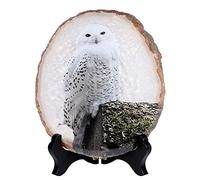 Mookaitedecor Snowy Owl Agate Stone Art Print Ornament with Stand - Good Luck Feng Shui Crystal Home Decor, Healing Crystal Animal Gift Ornament
