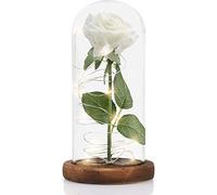 MOOKLIN ROAM Beauty and the Beast Rose with LED Lights in Glass Dome, Enchanted Eternal Rose Set Made of Silk, Romantic Gift for Women Valentine's Day, Mother's Day, Anniversary, Birthday - White