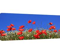 MOOL 42 x 20-inch Large Poppy Field Canvas Wall Art Print Hand Stretched on a Wooden Frame with Giclee Waterproof Varnish Finish Ready to Hang