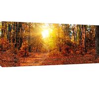 MOOL 42 x 20-inch Large Sunny Autumn Forest Canvas Wall Art Print Hand Stretched on a Wooden Frame with Giclee Waterproof Varnish Finish Ready to Hang