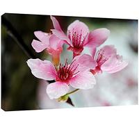 MOOL Large 32 x 22-inch Canvas Wall Art Print Hand Stretched on a Wooden Frame with Giclee Waterproof Varnish Finish Ready to Hang, Cherry Blossom