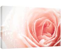 MOOL Large 32 x 22-inch Rose Flower Canvas Wall Art Print Hand Stretched on a Wooden Frame with Giclee Waterproof Varnish Finish Ready to Hang, Baby Pink