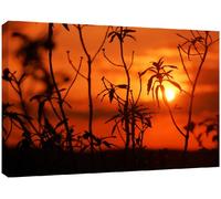 MOOL Large 32 x 22-inch Sunset Hot Summers Day Canvas Wall Art Print Hand Stretched on a Wooden Frame with Giclee Waterproof Varnish Finish Ready to Hang