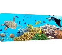 MOOL Large 42 x 20-inch Underwater Canvas Wall Art Print Hand Stretched on a Wooden Frame with Giclee Waterproof Varnish Finish Ready to Hang