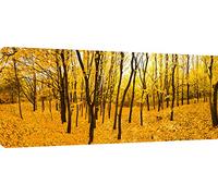 MOOL Large 42 x 20-inch Yellow Autumn Forest Canvas Wall Art Print Hand Stretched on a Wooden Frame with Giclee Waterproof Varnish Finish Ready to Hang