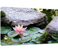 MOOL "Lily Pond" Canvas Wall Art Print, Multi-Colour, Large, 32 x 22-Inch