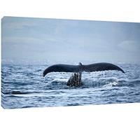 MOOL "Perfect Whale Tail Canvas Wall Art Print, Blue, Large, 32 x 22-Inch