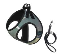 Moon And Sea Print Dog Harness,Pet Leash Vest,Adjustable And Reflective Vest,For Small To Medium Dogs