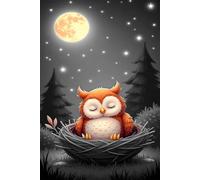 Moon Animal Owl 300 Piece Jigsaw Puzzle for Adults, Creativity, Challenging and Difficult Puzzle, Brain Teaser Puzzles for Adults 300 Pieces for The Whole for Women, Men
