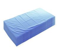 Moon Blue Value Sleep Mat Sheet SET OF 10 Mattress Protector Sheets, Kids Sleeping Mattress Baby Essentials for Newborn, Kids Bed Baby Products, Sleeping/Changing Mats & Covers - Sleeping Lionzzz