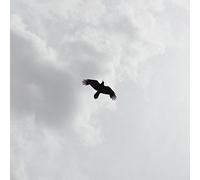 Moon Bros - These Stars [VINYL]