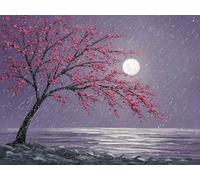 Moon Diamond Art Kits Adults, Diamond Painting Flower Dimond Art 5D DIY Full Round Drill Crystal Embroidery Cross Stitch Crafts Crafts for Adults, Home Room Decor, Gifts for Women 40x30cm -zjn25011D4