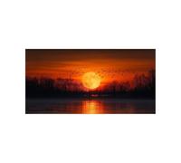 Moon Diamond Art Kits Adults with Diamond Art Accessories, 5D DIY Color Crystal Gem Crafts Kits for Kids, Bird Rhinestones Paint by Numbers on Canvas 32x64 Inch, Wall Artwork for Room Decor 2509-10449