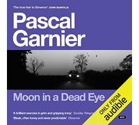 Moon in a Dead Eye: Shocking, hilarious and poignant noir