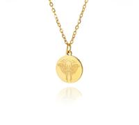 Moon Moth Disc Pendant Necklace Women Gold Color Clavicle Chain Luna Moth Animal Jewelry Gift