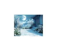 Moon Paint by Numbers for Adults, Architecture Luminescence Acrylic Paint by Numbers Kits, DIY Hobbies for Women 22x16in, Luminescence Painting Wall Art for Room Decor Gifts for Women GYYH-9238