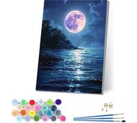 Moon Paint by Numbers for Adults With Frame, Painting by Numbers for Adults Ocean, DIY Acrylic Pigment Drawing Arts and Crafts, Hobbies for Women, for Home Wall Decor, Gifts for Women 16x20in 7-2397