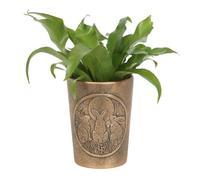 Moon Shadows Bronze Terracotta Plant Pot by Lisa Parker