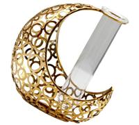 Moon Shaped Iron Art Vase with Glass Tube for Hydroponic Plants